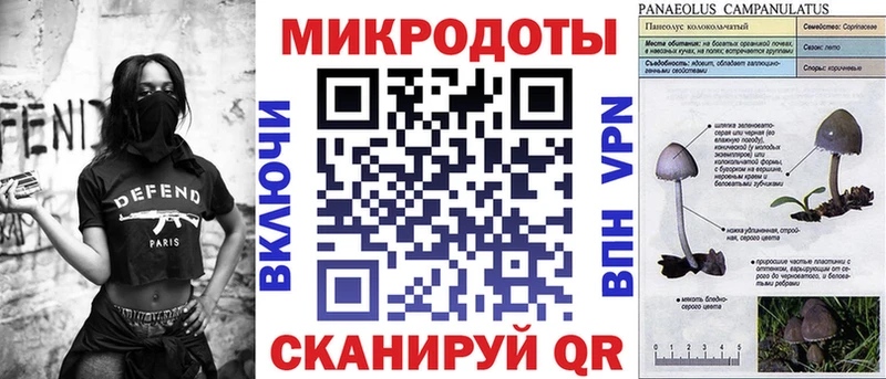 Галлюциногенные грибы Psilocybe  Морозовск 